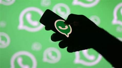 WhatsApp unveils new theme feature, offers users 5 modern colour options