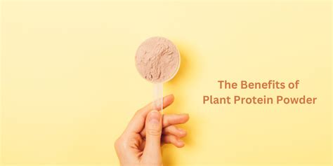 Top Benefits of Plant Protein Powder | Health & Sustainability– The Trost