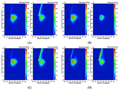 Understanding Anti-Obesity Potential of Four Porphyrin Compounds by ...