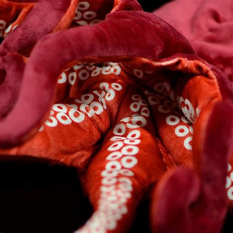 Buy Simulation Octopus Plush Toy -Red Soft Real Life Octopus Stuffed ...