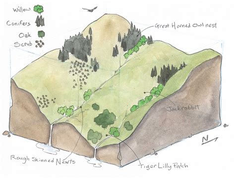 Image result for Dynamic Block Mapping