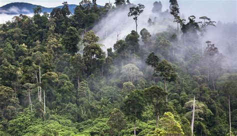 6 Least Known Heritage Sites Around The World - lifeberrys.com