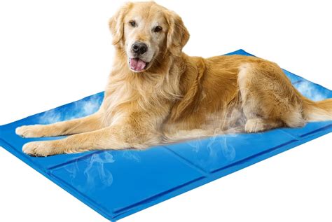 What Is The Gel In Cooling Mats For Dogs at Eileen Perry blog