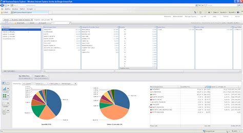 Image result for SAP Business Objects Overview Tutorial