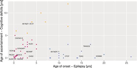 Image result for Cluster Study