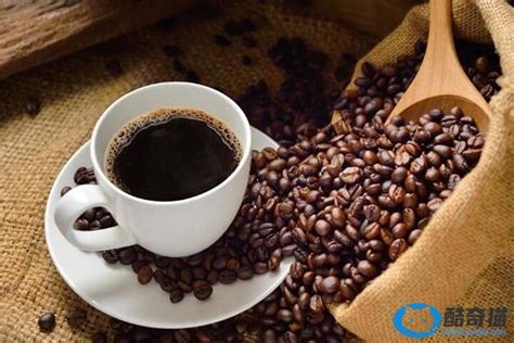 2021年世界咖啡豆价格排行榜 2021年瑰夏咖啡豆价格多少钱贵不贵 中国咖啡网 12月22日更新