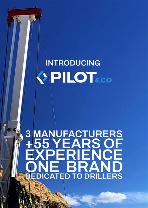 Bling Co-Pilot 的图像结果