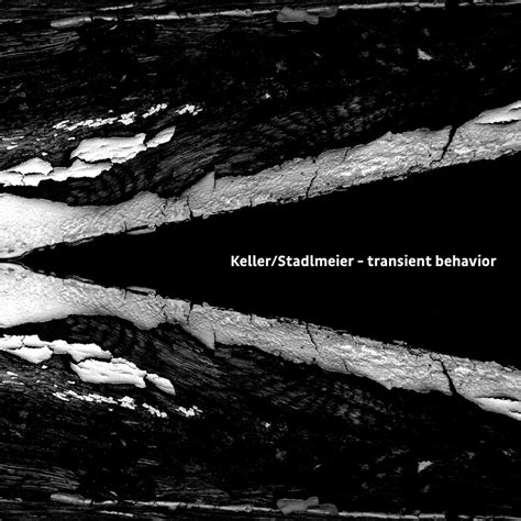 Rezultat imagine pentru Transient Behavior