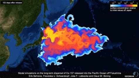 日本排放核废水前&后_哔哩哔哩_bilibili