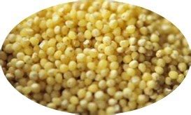 Nutritional Importance of Millets – Jowar or Bajra Bhakri – Indian ...