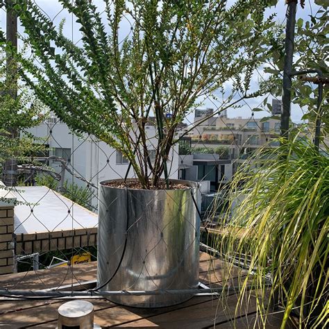 steel planter A（Φ55cm） | Seeding