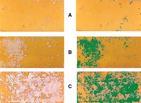 Karakteristik Senyawa - Ilustrasi 4