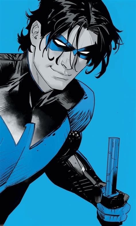 Nightwing Btas 的图像结果