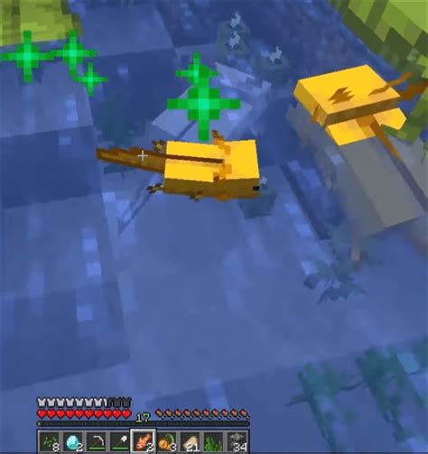 Image result for Minecraft Axolotl Farm Tutorial