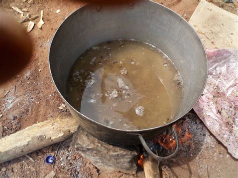 Image result for Cooked Python