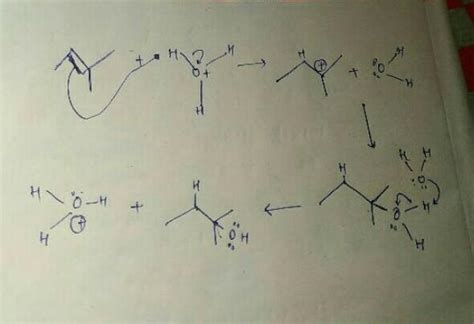 Mechanism of Protonation of Alkene to form carbonation by electrophile ...
