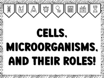 CELLS, MICROORGANISMS, AND THEIR ROLES! Grade 6 Science Bulletin Board ...