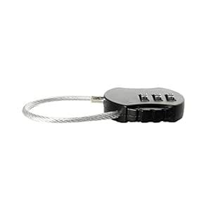 Combination Padlock Coded Lock for Lizard Serpent Vivarium Reptile ...
