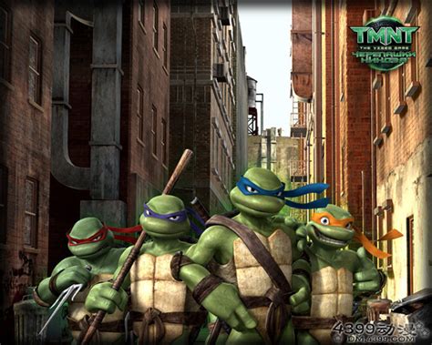 《忍者神龟》将在津上映 全新剧情时尚造型(图)_影音娱乐_新浪网