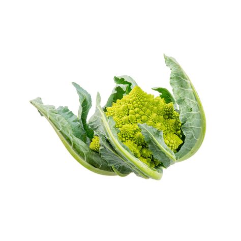 Broccoli Romanesco Seeds – GardenGuru