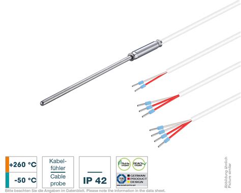 Cable probe stepped with PFA cable | Testo Sensor English