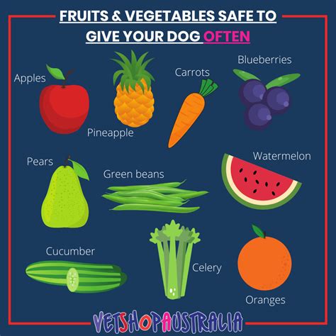 Fruits and Vegetables Your Dog Can Safely Eat | VetShopAustralia