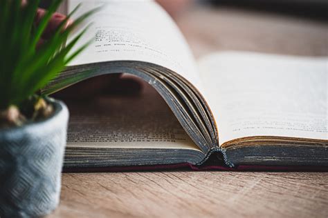 Image result for Book Report Introduction Examples