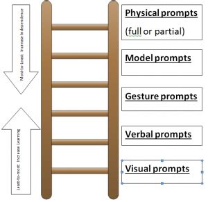 Image result for Prompting Hierarchy