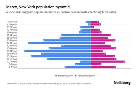Marcy, New York Population by Age - 2023 Marcy, New York Age ...