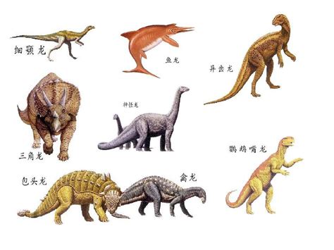恐龙时代（恐龙的鼎盛期） - 搜狗百科