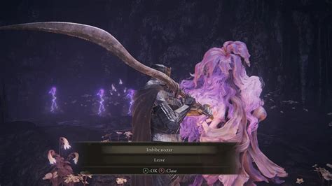 Elden Ring: Shadow of the Erdtree - St. Trina's Nectar Imbibe Questline