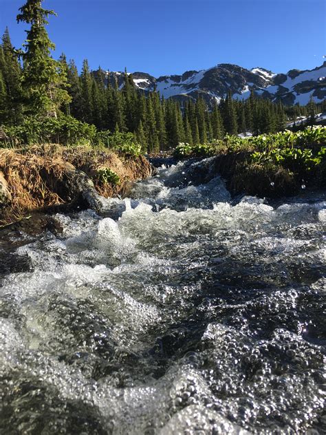 Windsor Lake Trail near Leadville, Colorado. Outflow stream from a pond ...