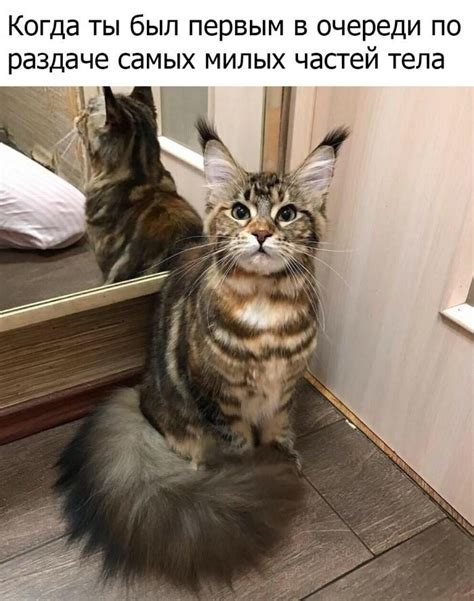 Подборка прикольных фото / Приколы