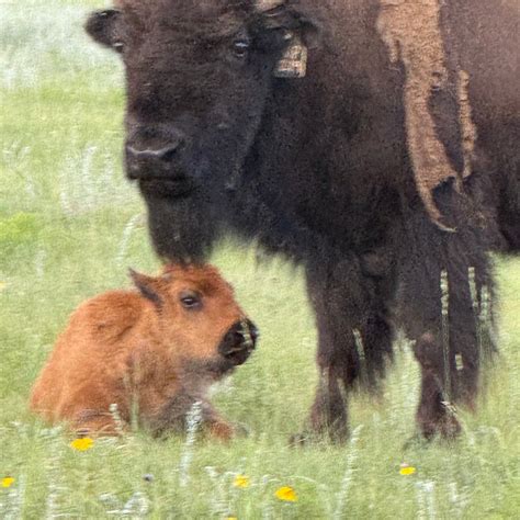 VERMEJO, A TED TURNER RESERVE (Raton) - Hotel Reviews & Photos ...