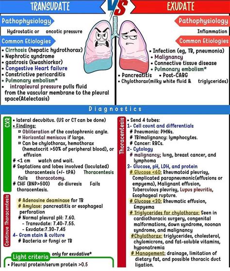 Transudate Vs Exudate - MEDizzy