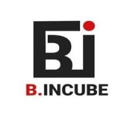 Dr. C.V.Raman University