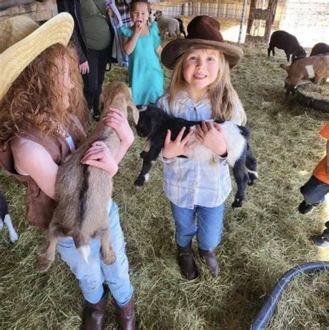 Pumpkin Patches in Colorado Springs - Springs Magazine