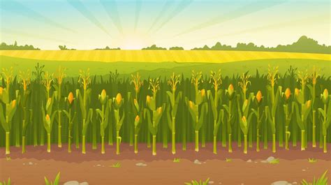 Corn Field Vector 的图像结果