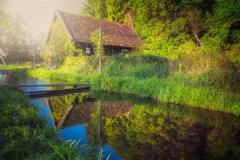 Image result for Trout Farming Methods