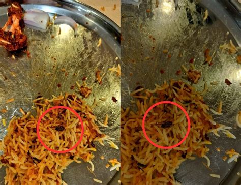 Cockroach in Biryani Sparks Food Safety Concerns – Hyderabad Mail