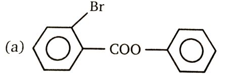 The major product expected form the mono-bromination of phenyl ...