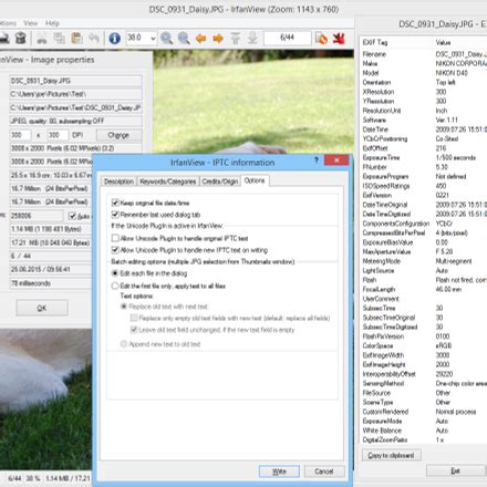 Image result for IrfanView PDF