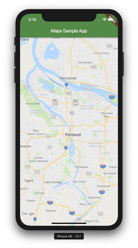 Google Map in Flutter 的图像结果