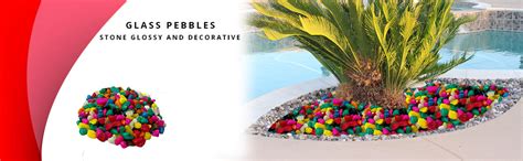 DS Multi-colored Pebbles/Gravels/Stone, 475g : Amazon.in: Garden & Outdoors