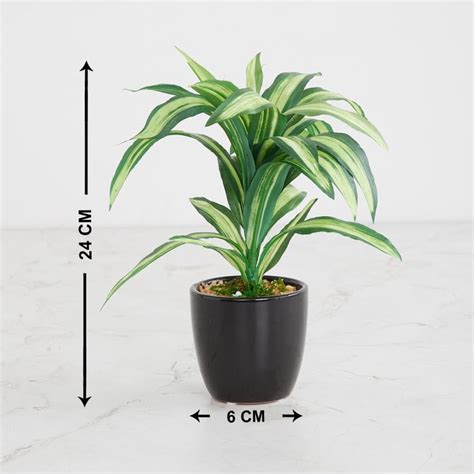 Buy Fiesta Green Artificial Dracaena Plant from Home Centre at just INR ...