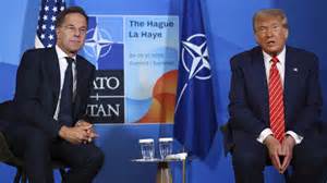 'Daddy used strong words': Rutte jokes at Nato meet; Trump likens Iran ...