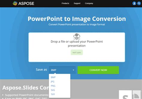 Image result for Convert PowerPoint to Images