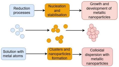 Mycosynthesis of Metal-Containing Nanoparticles—Fungal Metal Resistance ...