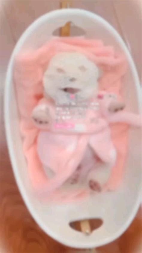 Image result for How to Wink Tutorial