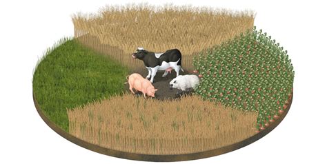 Crop rotation